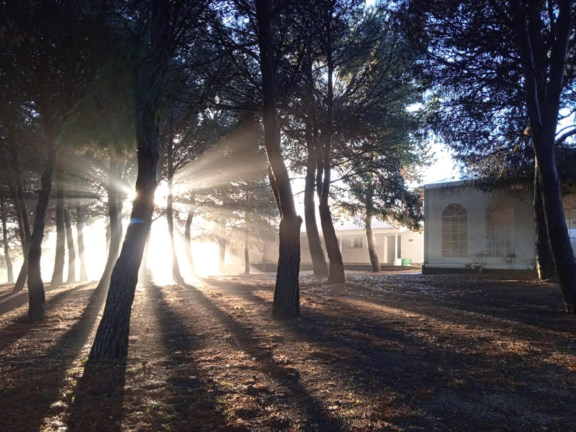 Albergue Zaragoza Camping Dış mekan fotoğraf